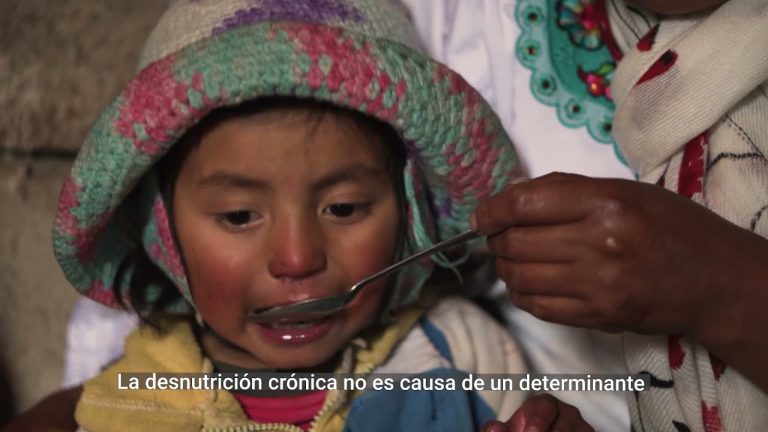 Desnutrición crónica Unicef